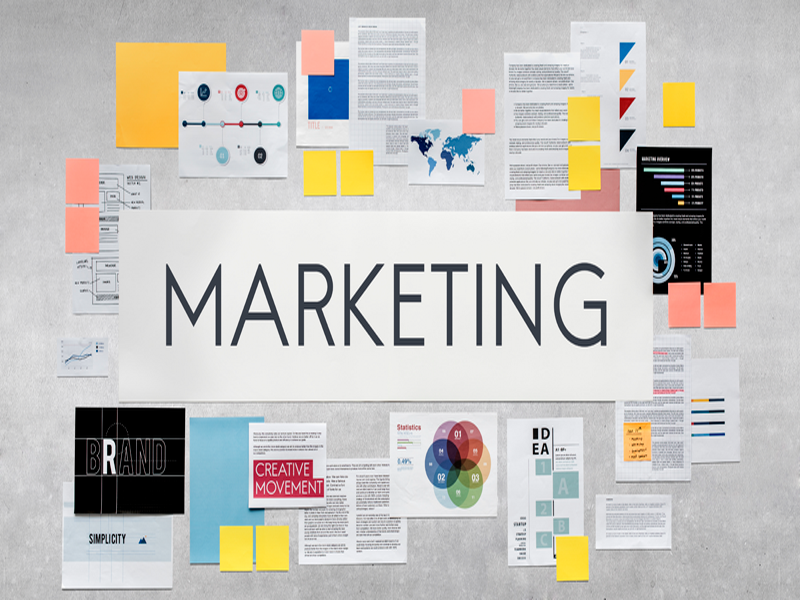 Marketingadvies voor bedrijven in België